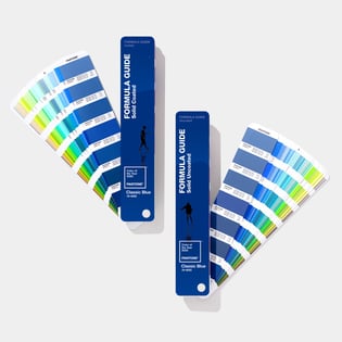 COY-pantone-pms-limited-edition-color-of-the-year-2020-formula-guide-coated-uncoated-1