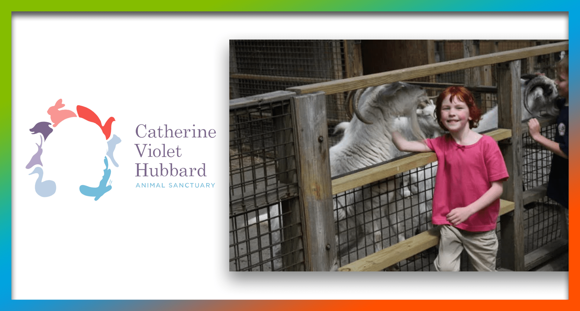 Charity Spotlight: Catherine Violet Hubbard Animal Sanctuary
